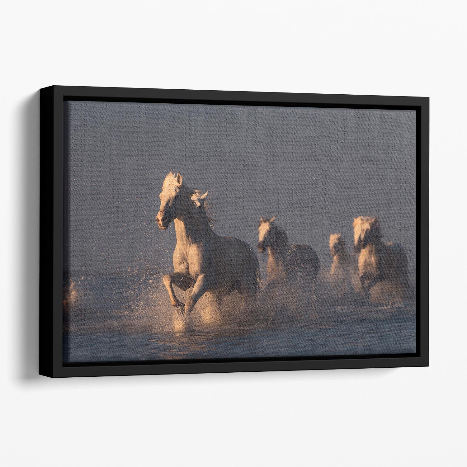 Horses in sunset light Floating Framed Canvas - Canvas Art Rocks - 1