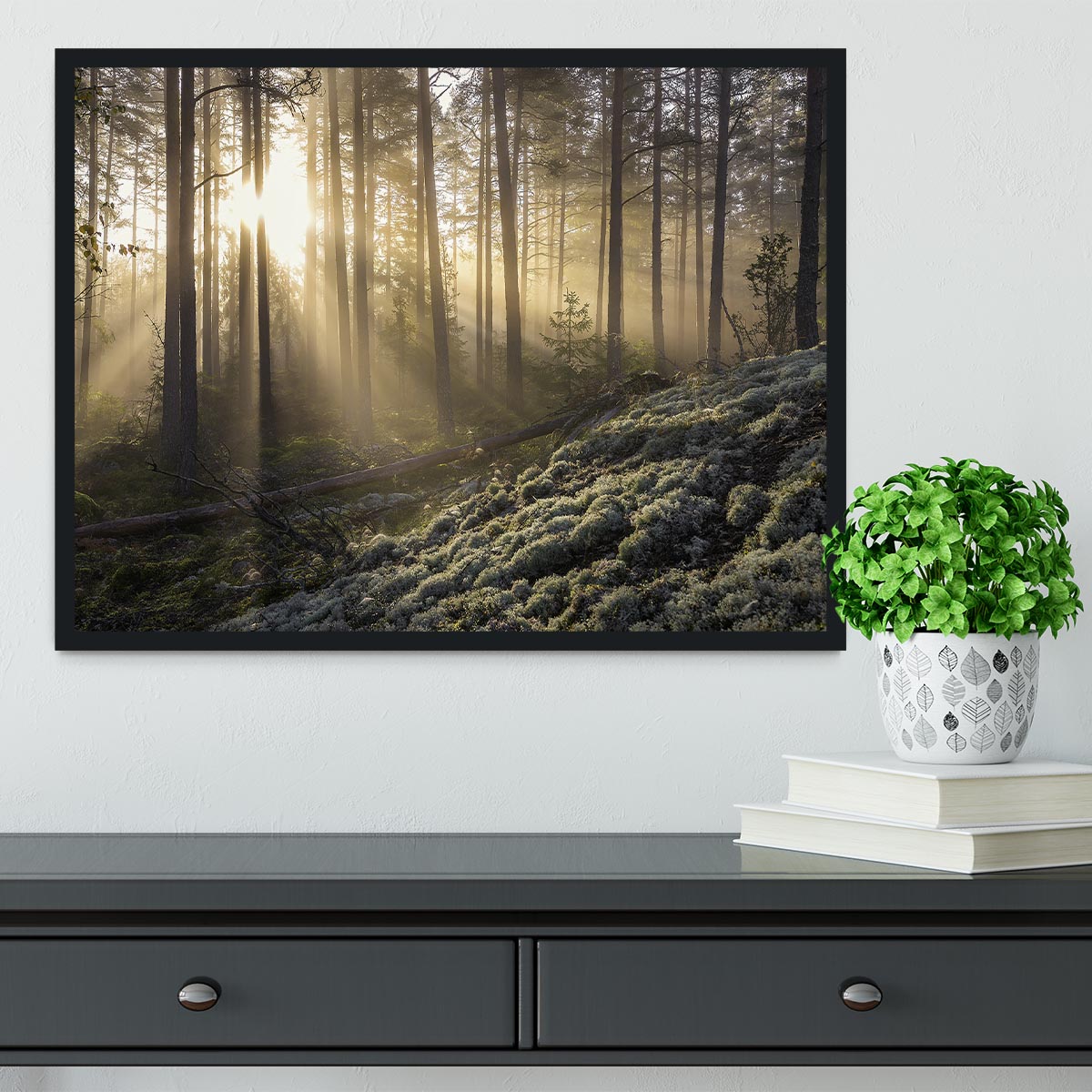Fog In The Forest With White Moss In The Forground Framed Print - Canvas Art Rocks - 2