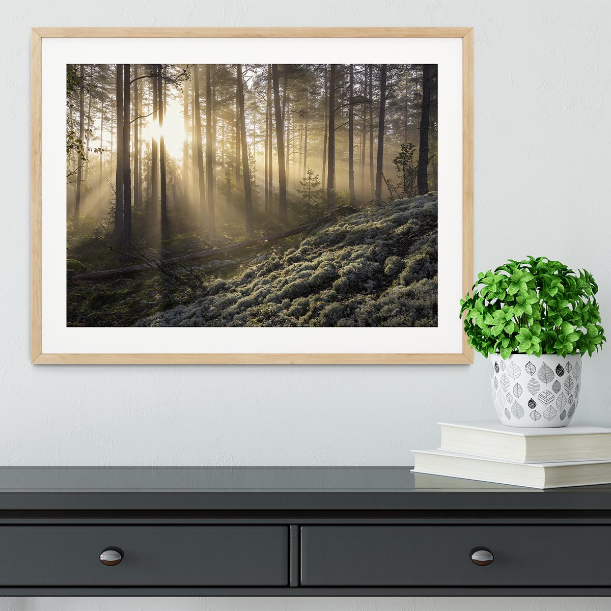 Fog In The Forest With White Moss In The Forground Framed Print - Canvas Art Rocks - 3