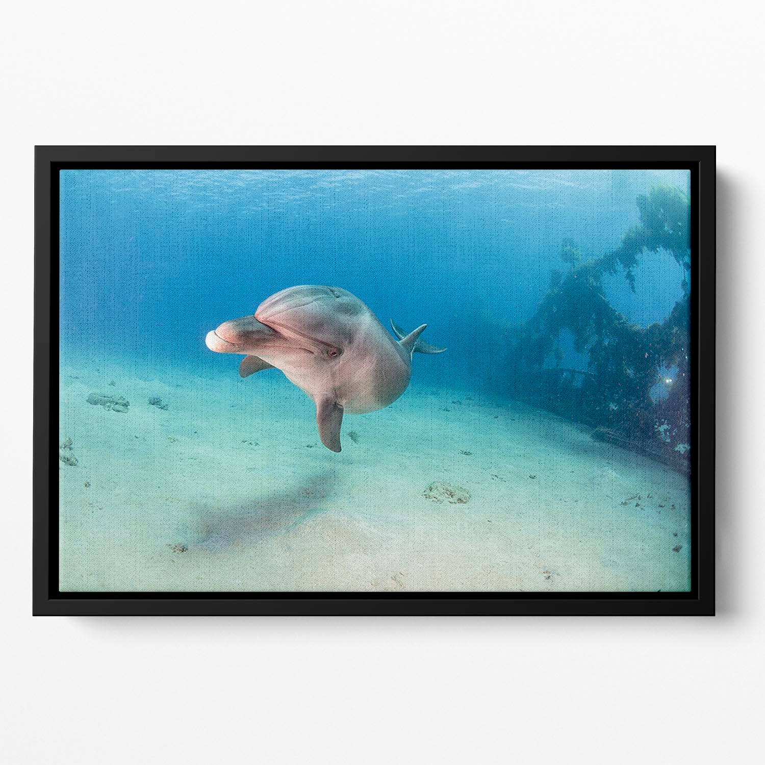 Dolphin Floating Framed Canvas - Canvas Art Rocks - 2