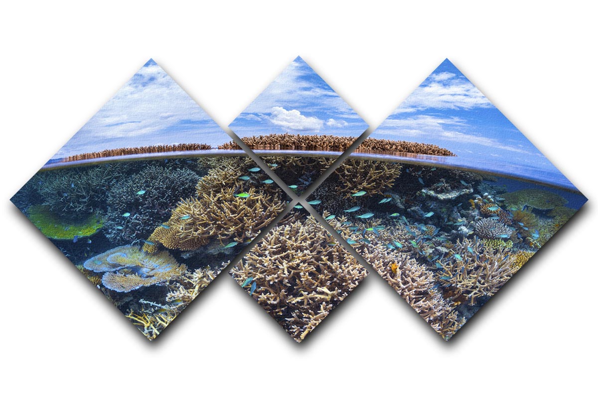 Split Level From Mayotte Reef 4 Square Multi Panel Canvas - Canvas Art Rocks - 1