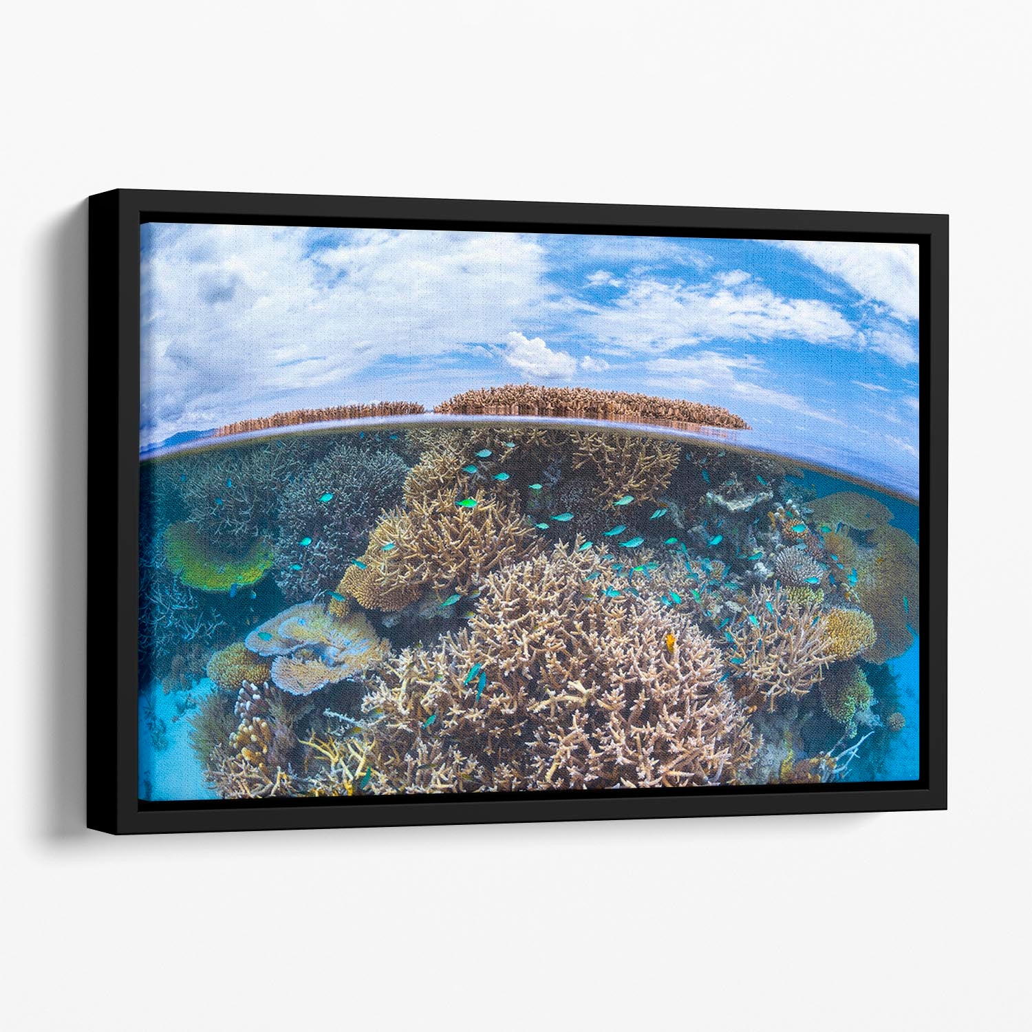 Split Level From Mayotte Reef Floating Framed Canvas - Canvas Art Rocks - 1