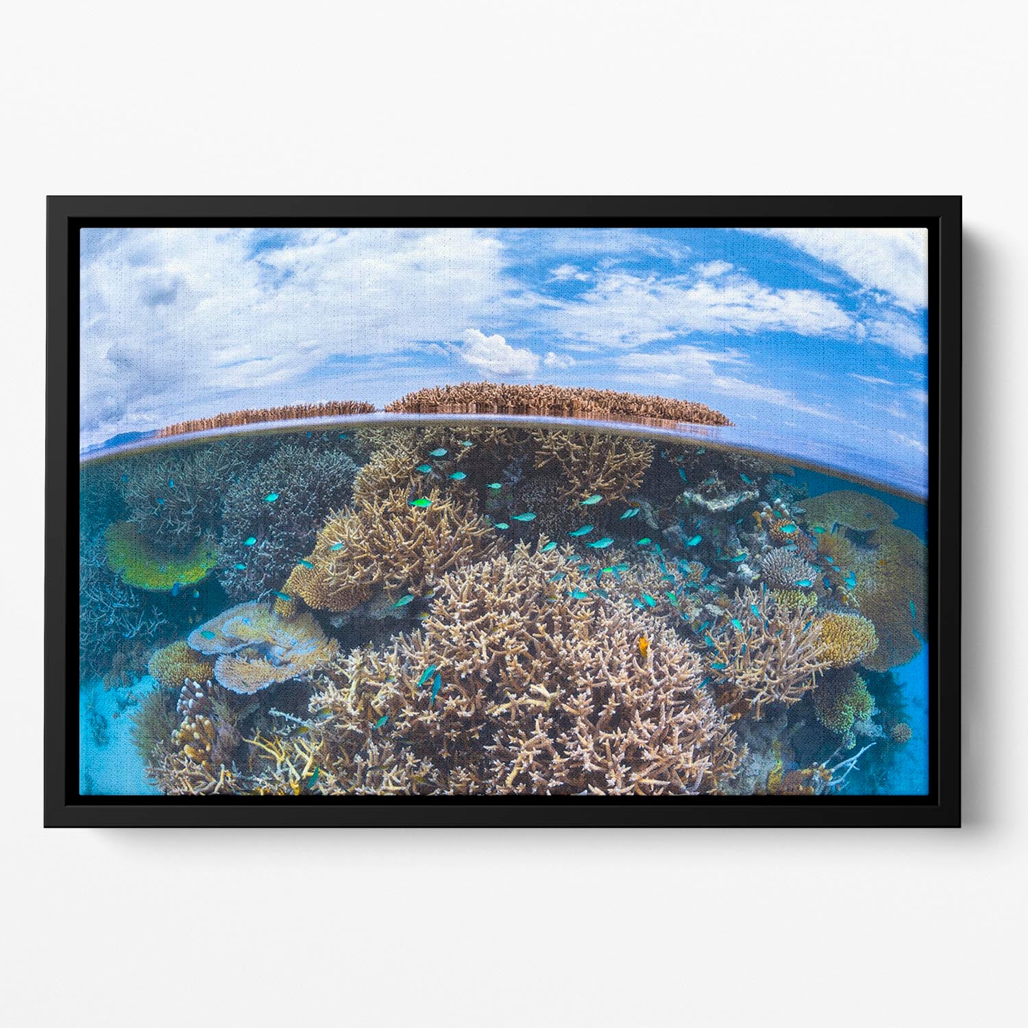 Split Level From Mayotte Reef Floating Framed Canvas - Canvas Art Rocks - 2