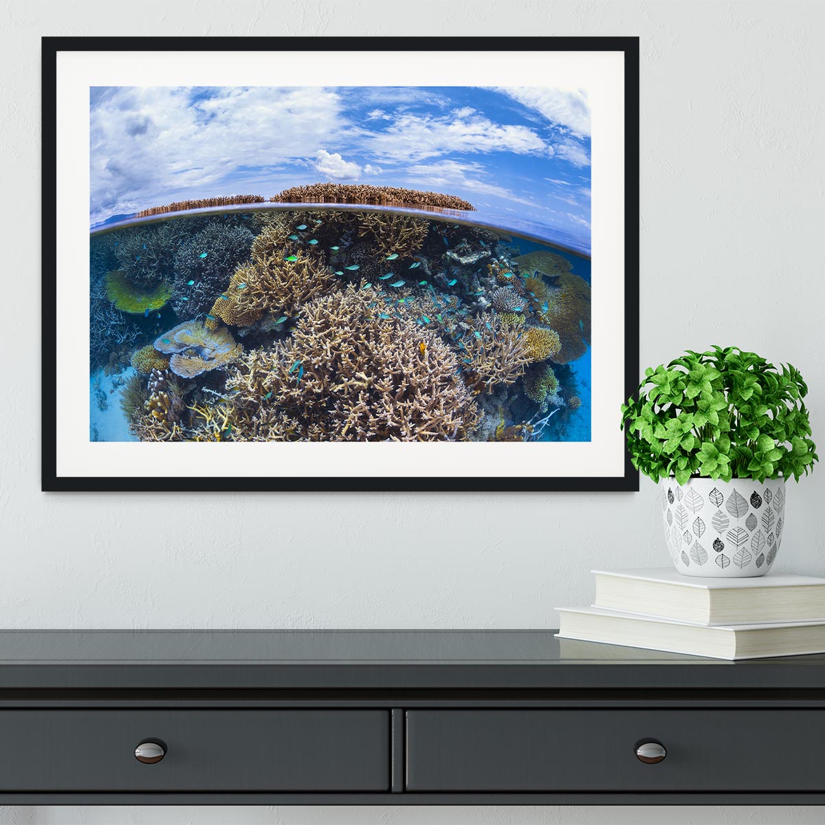 Split Level From Mayotte Reef Framed Print - Canvas Art Rocks - 1