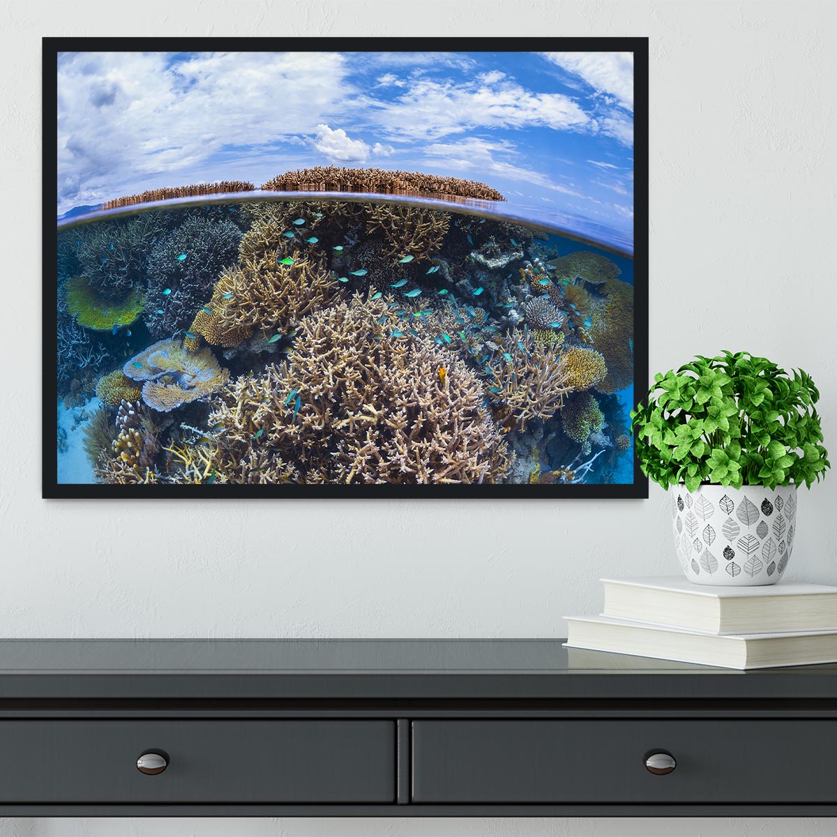 Split Level From Mayotte Reef Framed Print - Canvas Art Rocks - 2