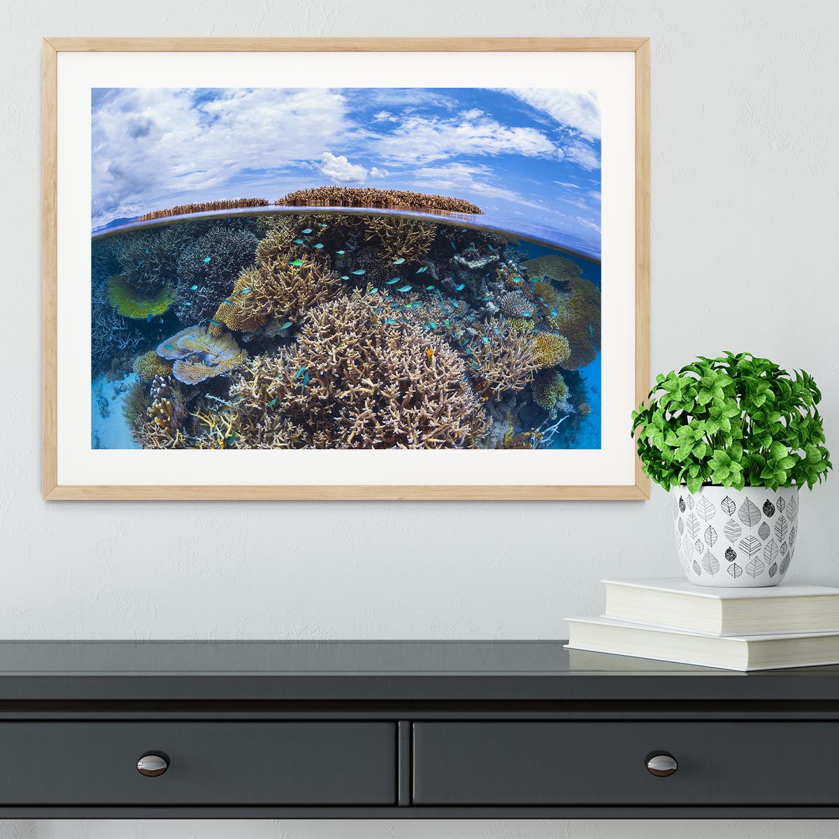 Split Level From Mayotte Reef Framed Print - Canvas Art Rocks - 3