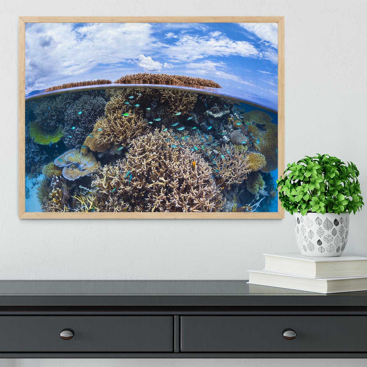 Split Level From Mayotte Reef Framed Print - Canvas Art Rocks - 4