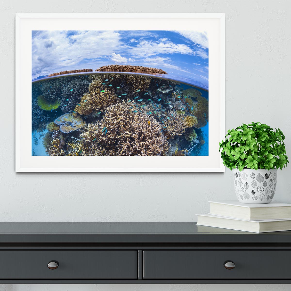 Split Level From Mayotte Reef Framed Print - Canvas Art Rocks - 5