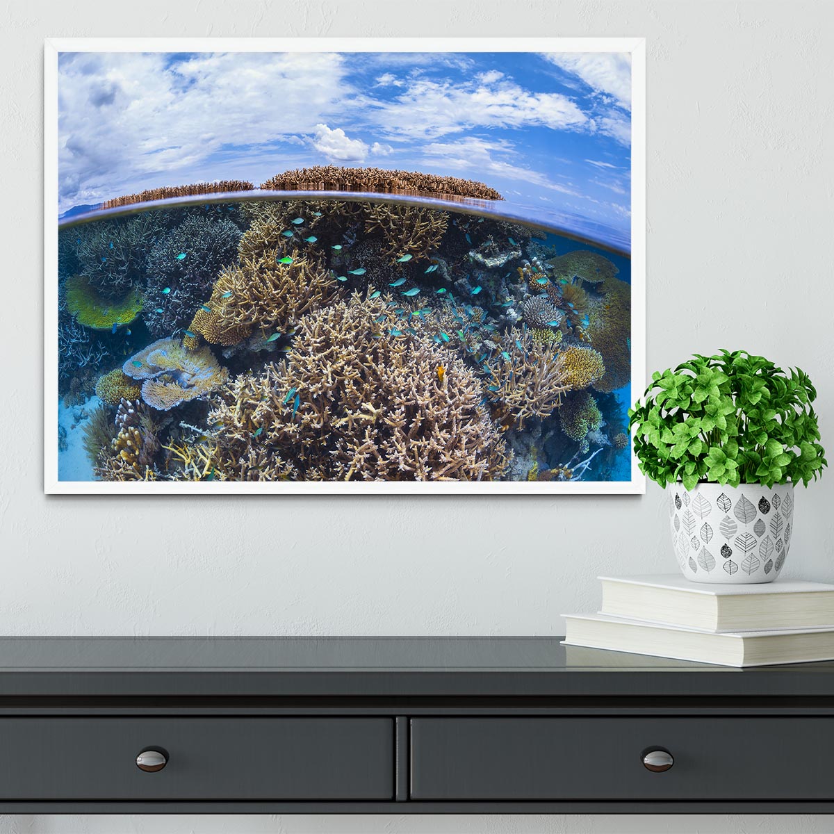 Split Level From Mayotte Reef Framed Print - Canvas Art Rocks -6