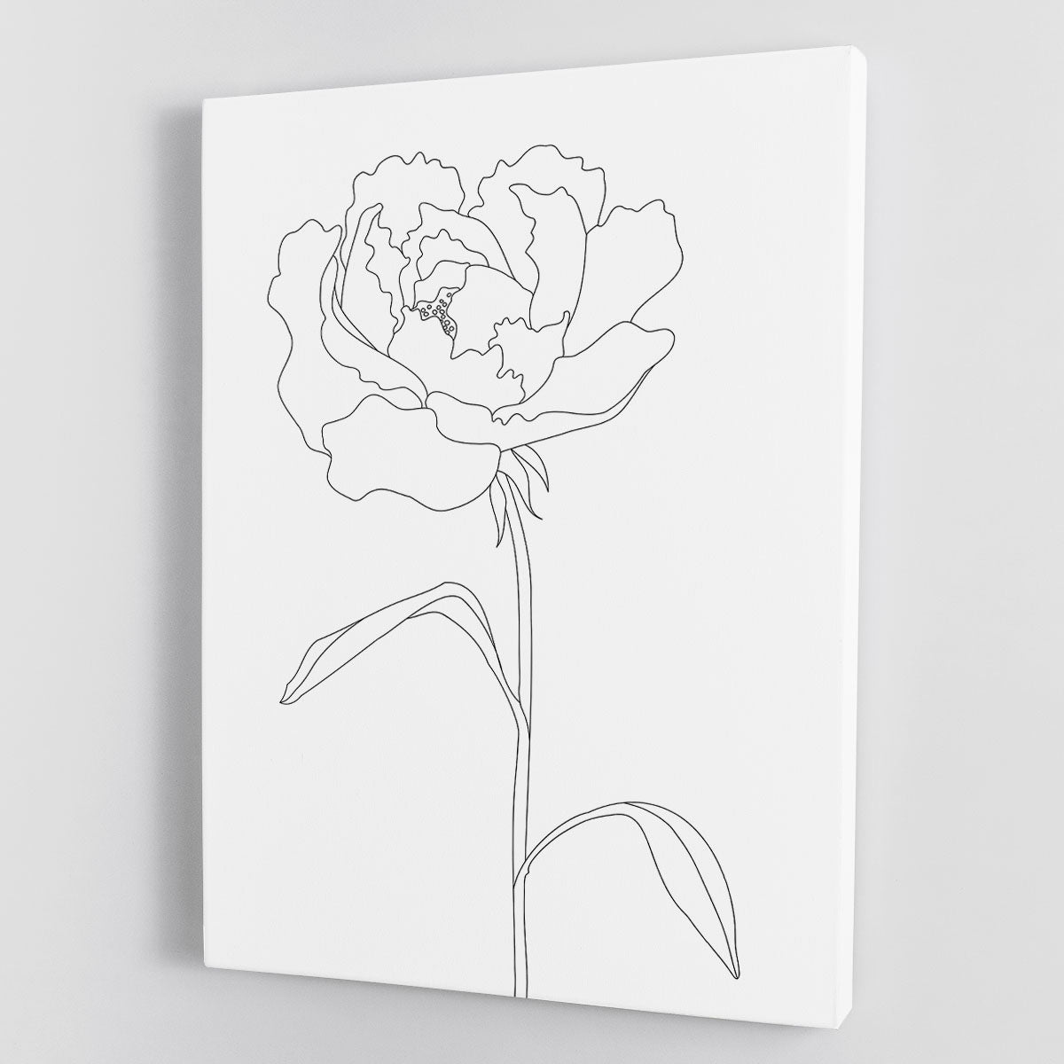 Peony Lines Canvas Print or Poster - Canvas Art Rocks - 1