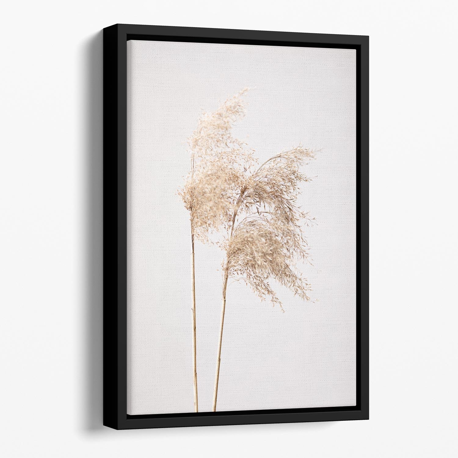 Reed Grass Grey 02 Floating Framed Canvas - Canvas Art Rocks - 1