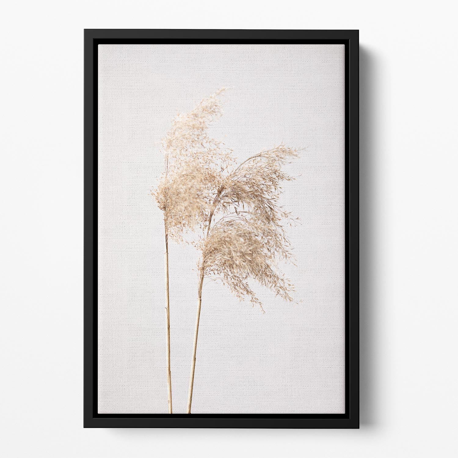 Reed Grass Grey 02 Floating Framed Canvas - Canvas Art Rocks - 2