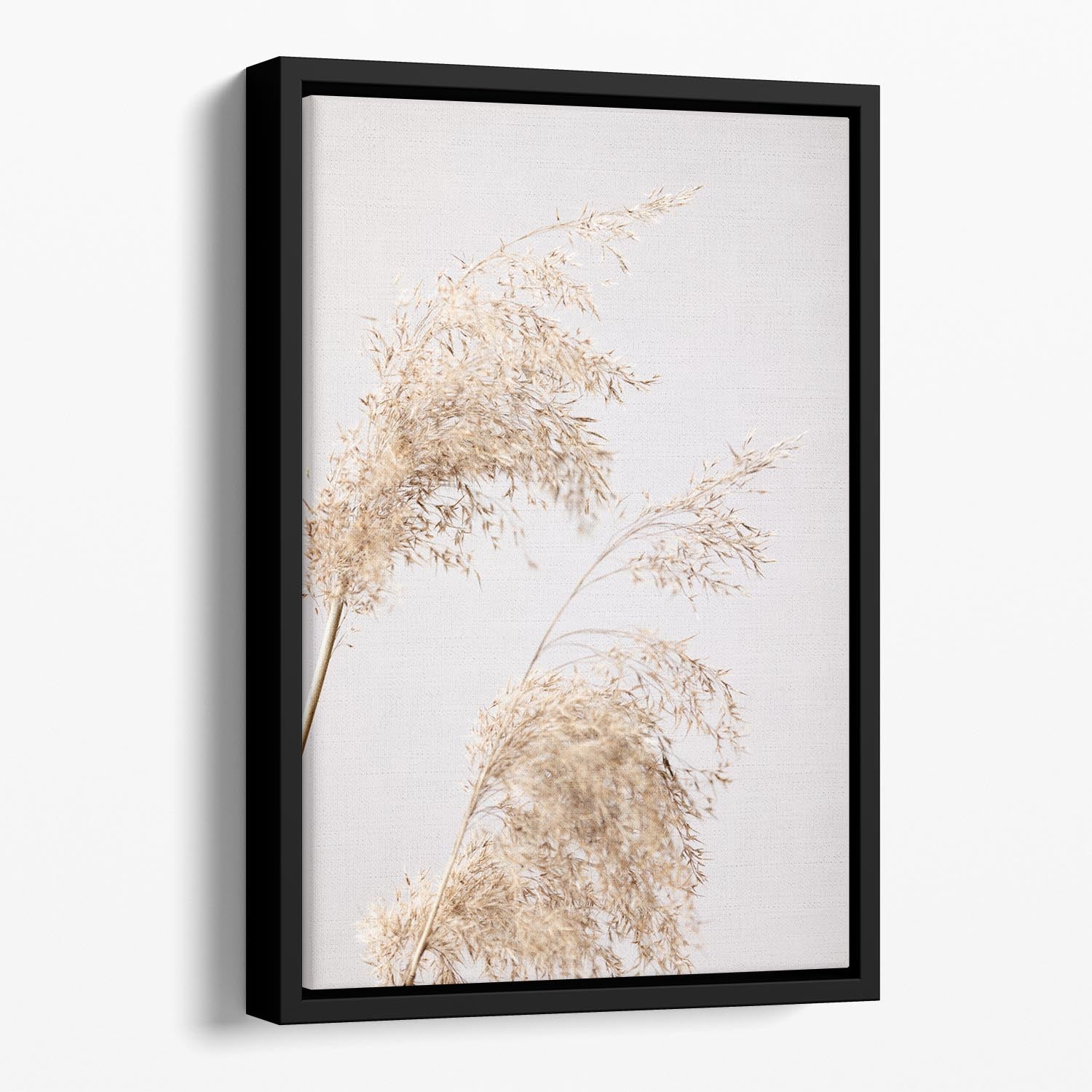 Reed Grass Grey 06 Floating Framed Canvas - Canvas Art Rocks - 1