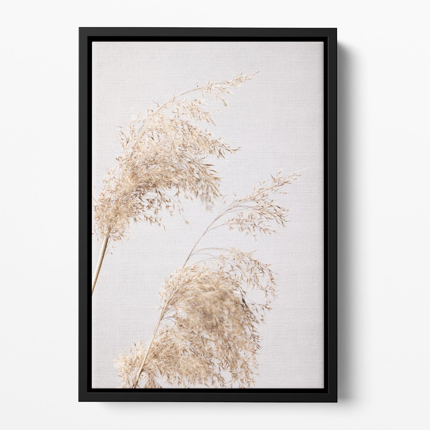 Reed Grass Grey 06 Floating Framed Canvas - Canvas Art Rocks - 2