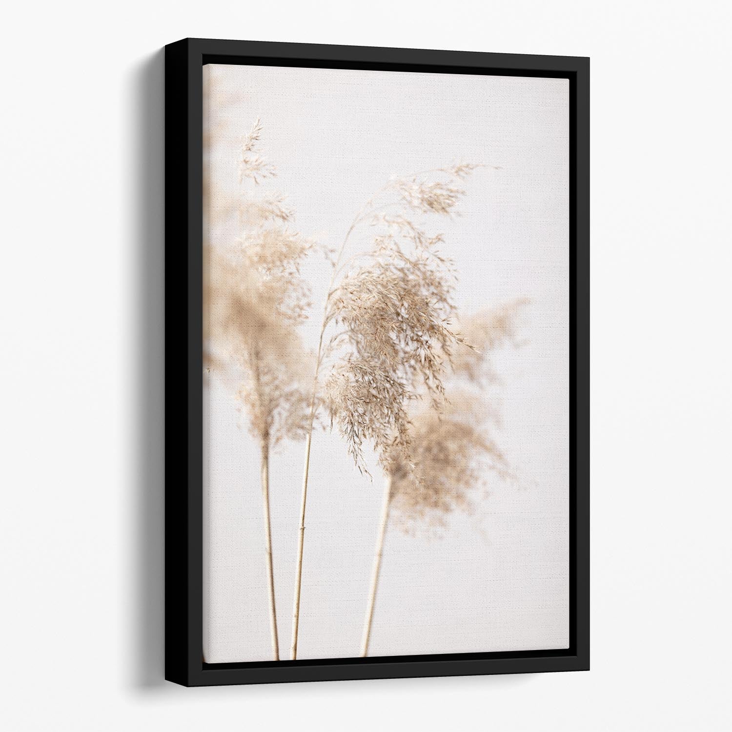 Reed Grass Grey 09 Floating Framed Canvas - Canvas Art Rocks - 1