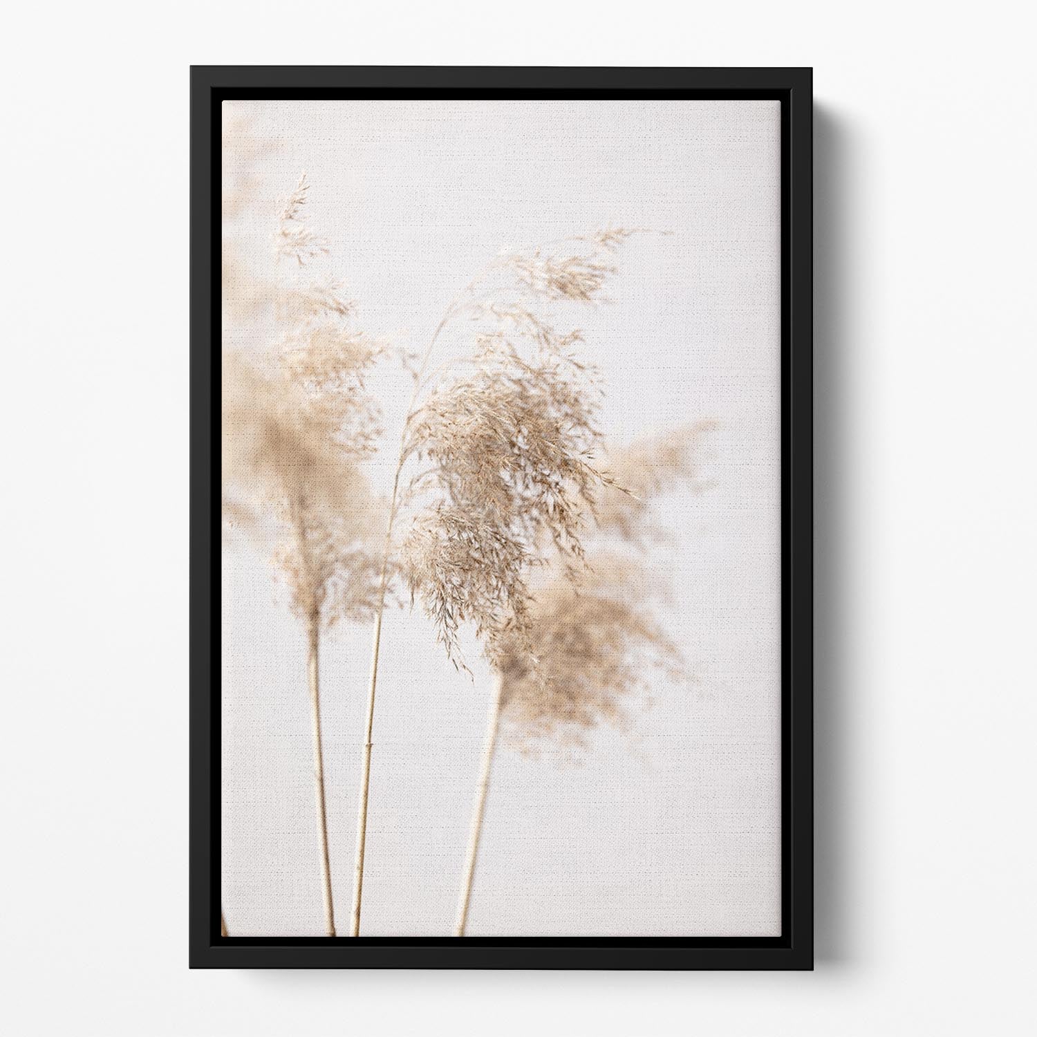 Reed Grass Grey 09 Floating Framed Canvas - Canvas Art Rocks - 2