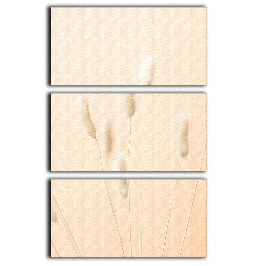 Bunny Grass Peach 06 3 Split Panel Canvas Print - Canvas Art Rocks - 1