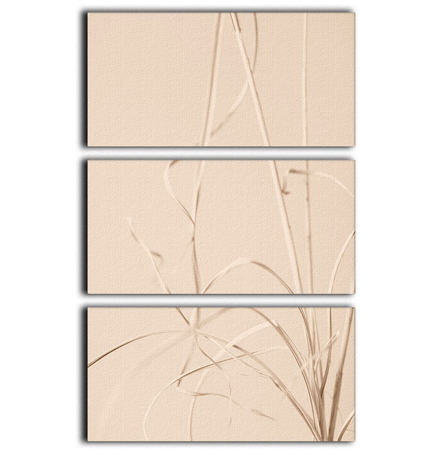 Dried Grass Beige 01 3 Split Panel Canvas Print - Canvas Art Rocks - 1