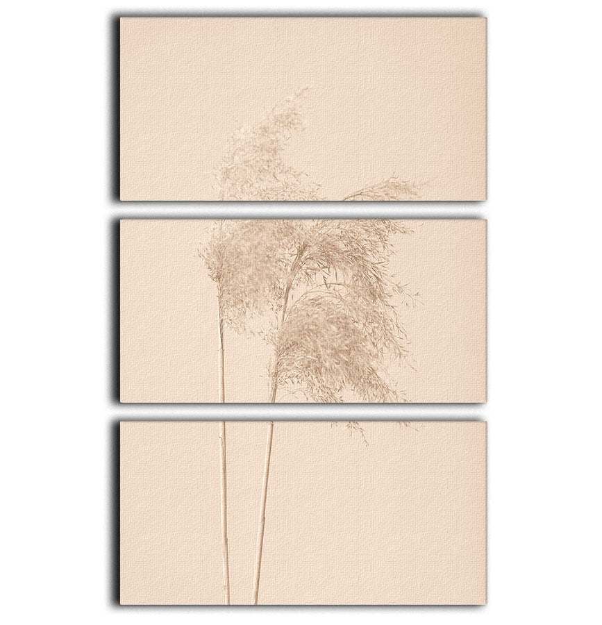 Reed Grass Beige 02 3 Split Panel Canvas Print - Canvas Art Rocks - 1