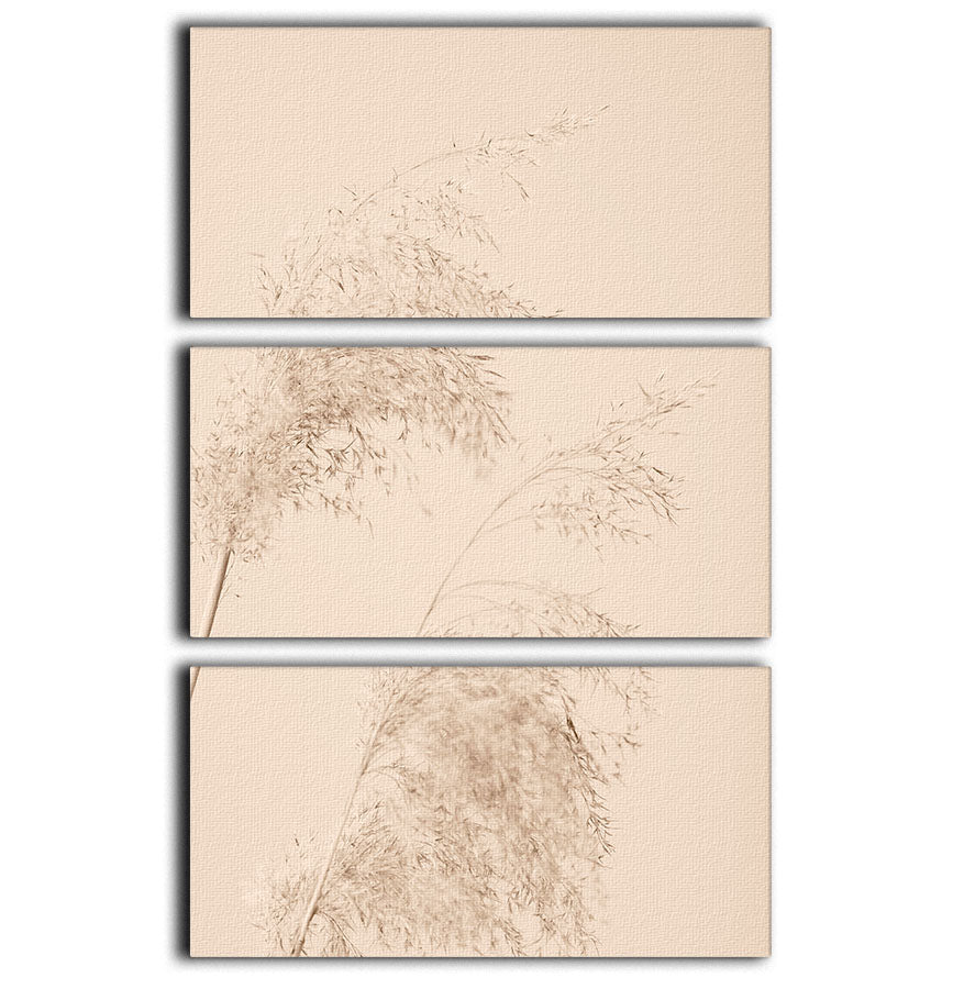 Reed Grass Beige 06 3 Split Panel Canvas Print - Canvas Art Rocks - 1