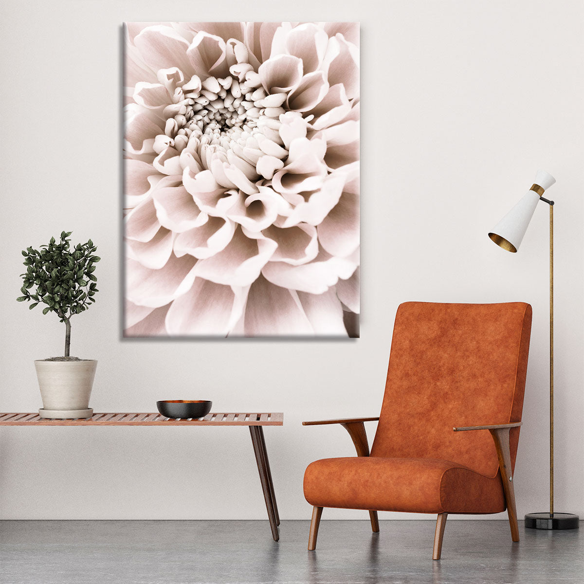 Chrysanthemum No 01 Canvas Print or Poster - Canvas Art Rocks - 6