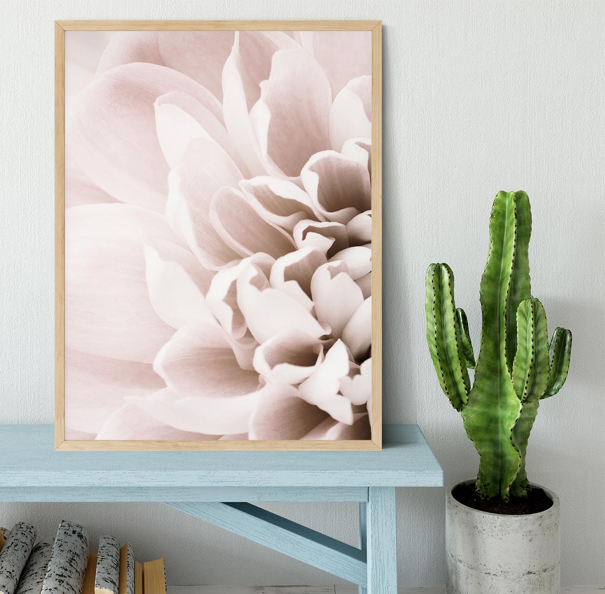 Chrysanthemum No 02 Framed Print - Canvas Art Rocks - 4