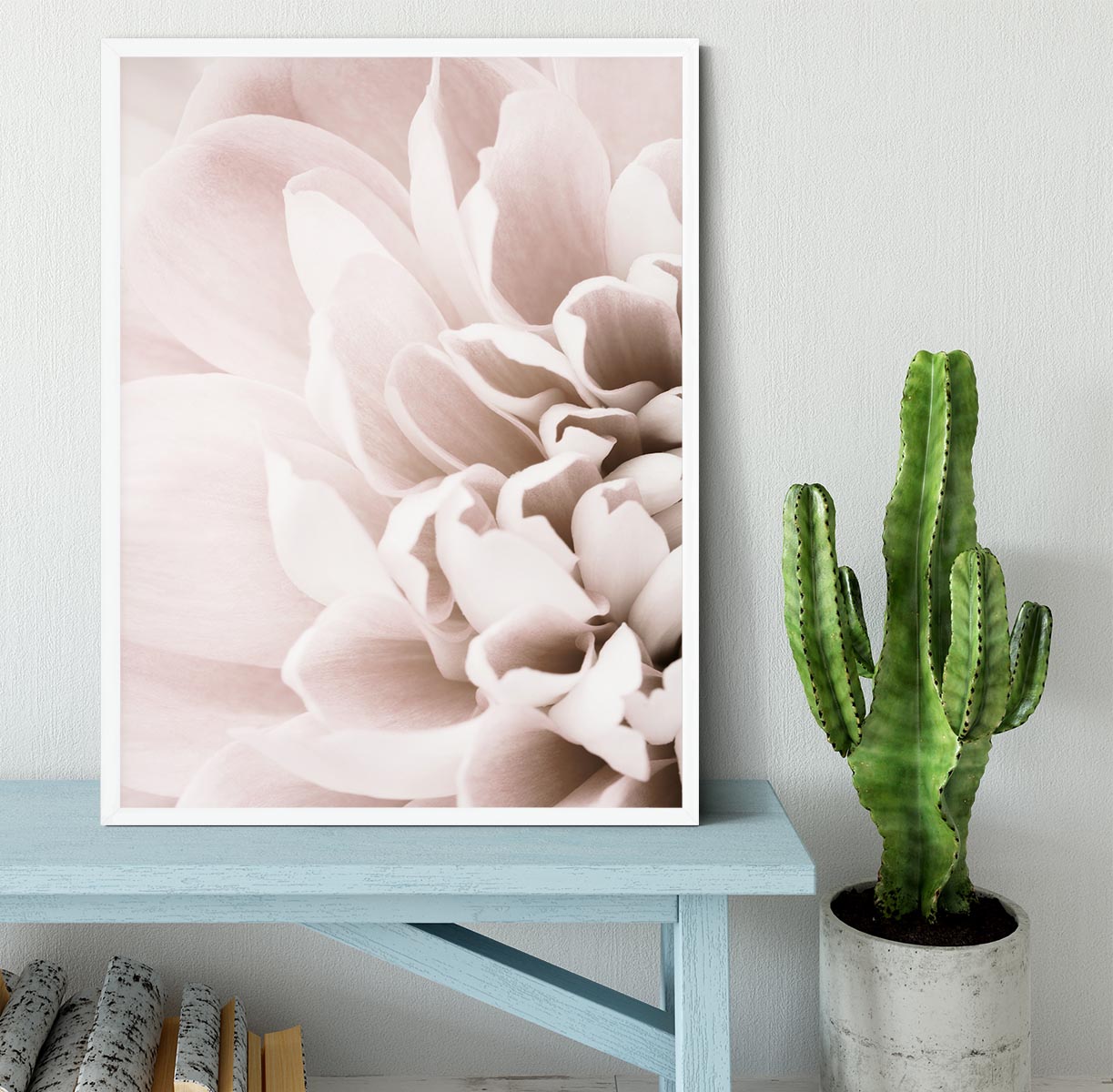 Chrysanthemum No 02 Framed Print - Canvas Art Rocks -6