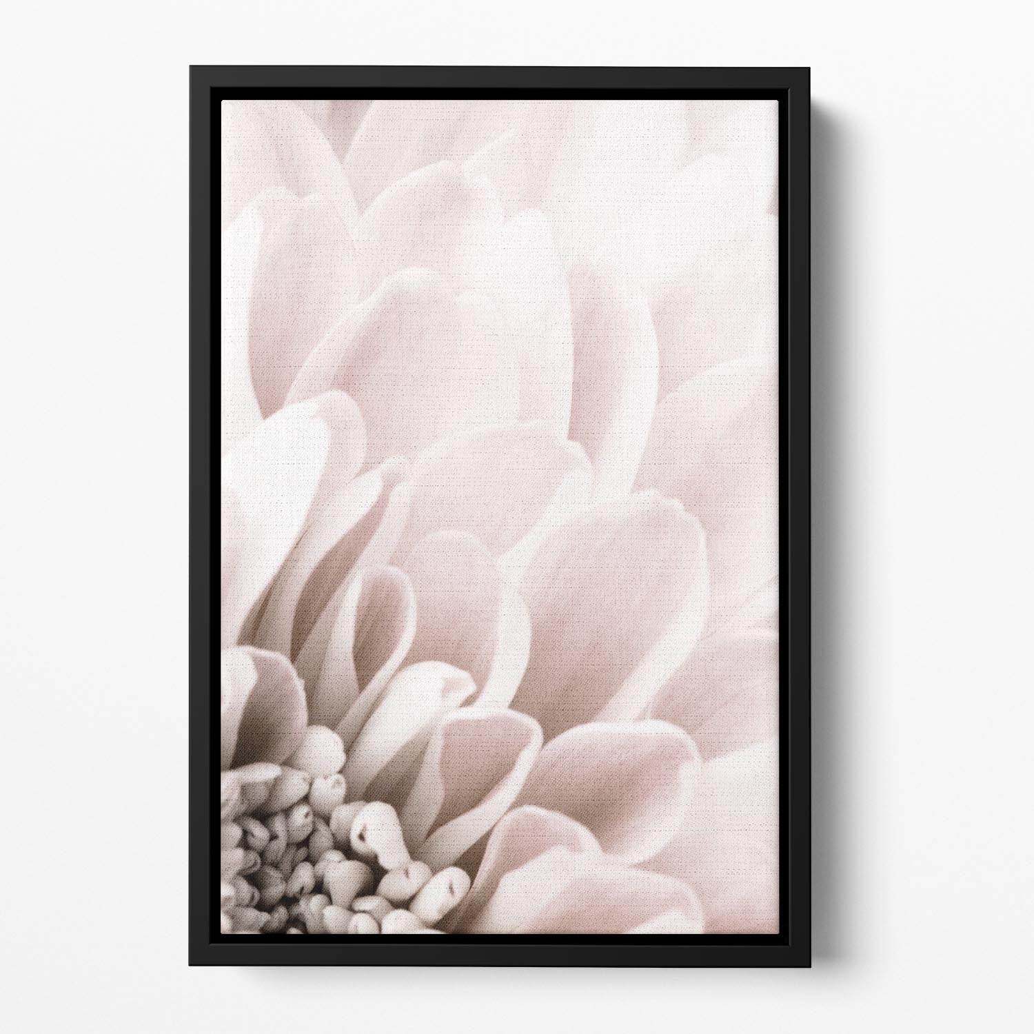 Chrysanthemum No 03 Floating Framed Canvas - Canvas Art Rocks - 2