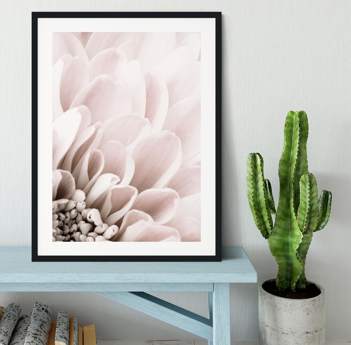 Chrysanthemum No 03 Framed Print - Canvas Art Rocks - 1