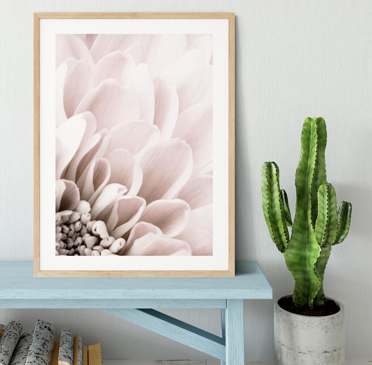 Chrysanthemum No 03 Framed Print - Canvas Art Rocks - 3