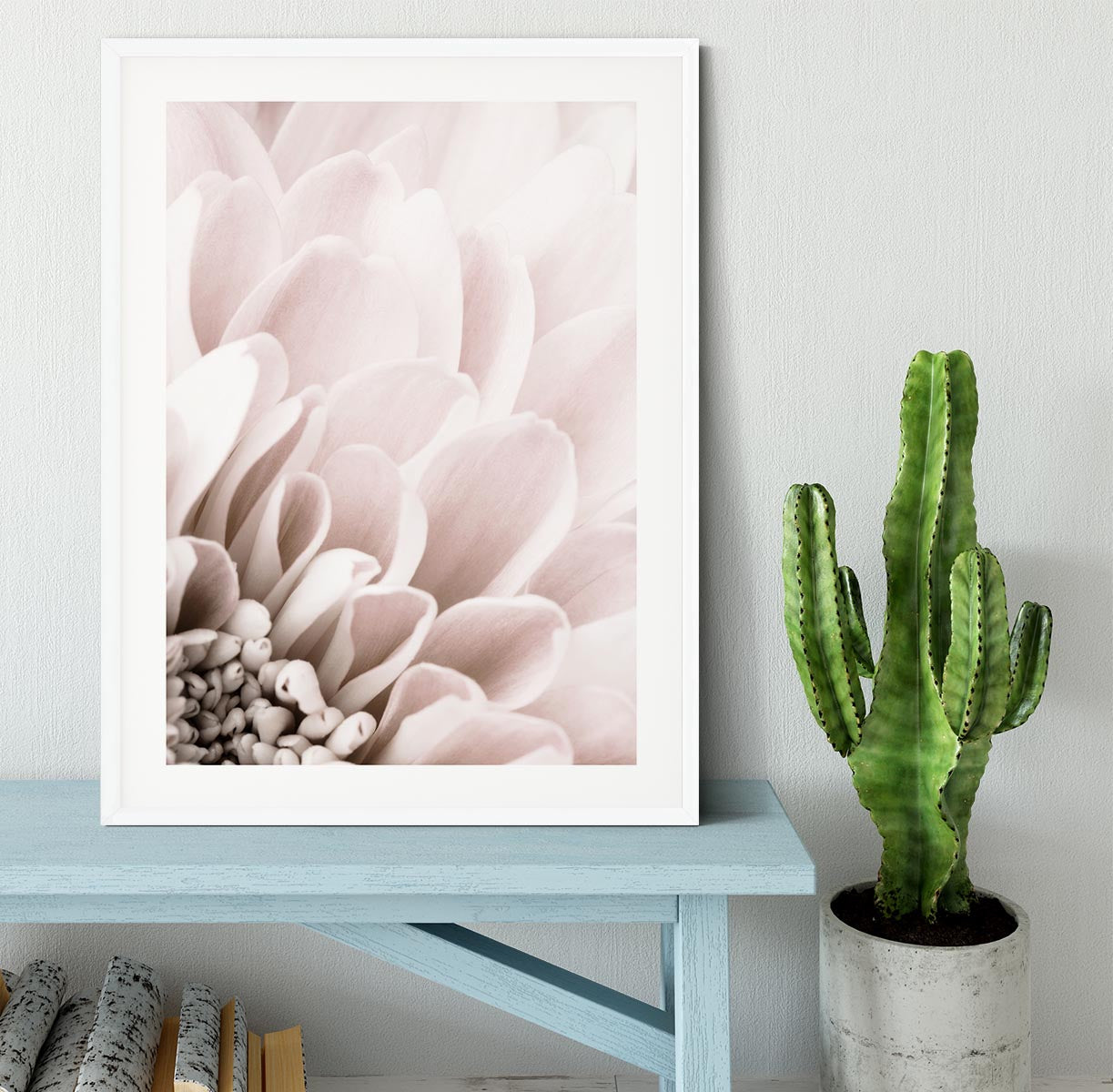 Chrysanthemum No 03 Framed Print - Canvas Art Rocks - 5