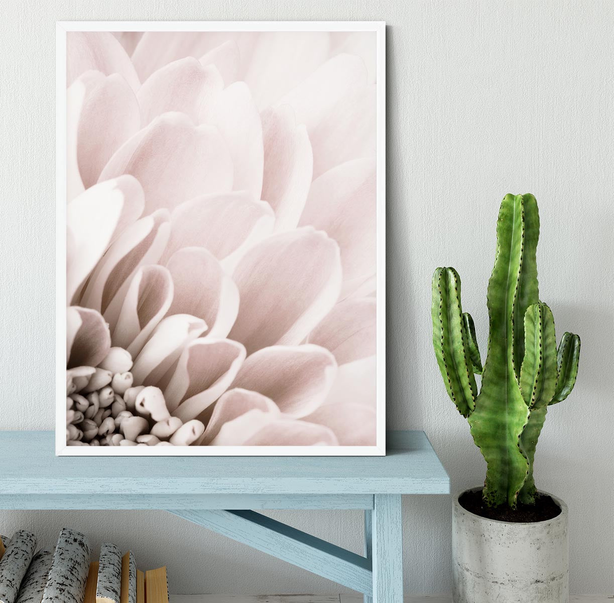 Chrysanthemum No 03 Framed Print - Canvas Art Rocks -6
