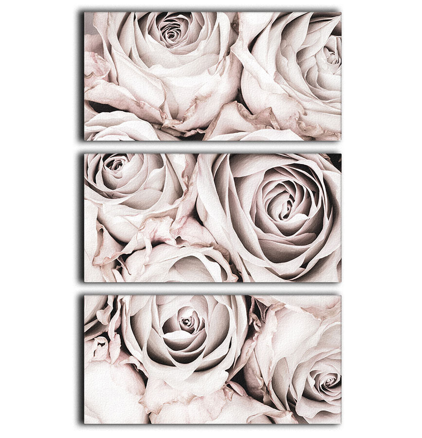 Grey Roses No 01 3 Split Panel Canvas Print - Canvas Art Rocks - 1
