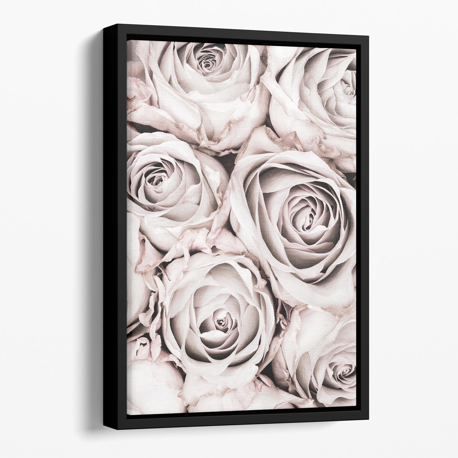 Grey Roses No 01 Floating Framed Canvas - Canvas Art Rocks - 1