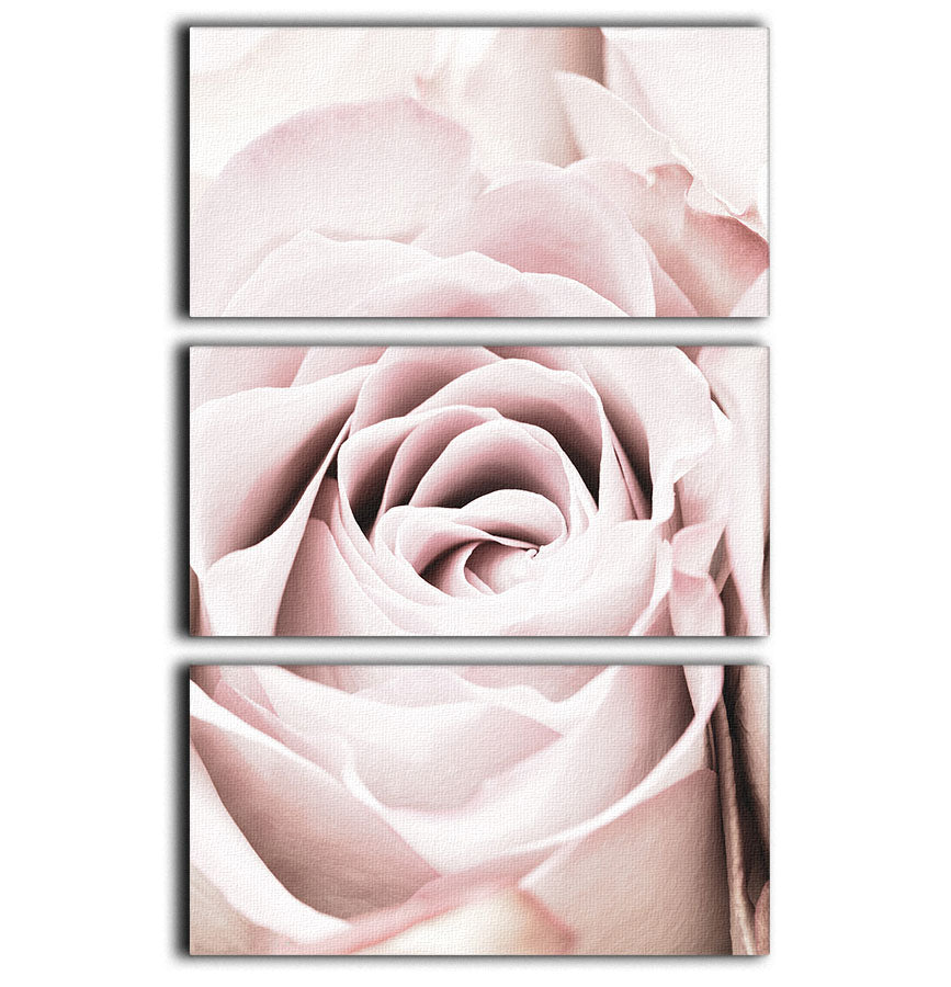 Pink Rose No 06 3 Split Panel Canvas Print - Canvas Art Rocks - 1