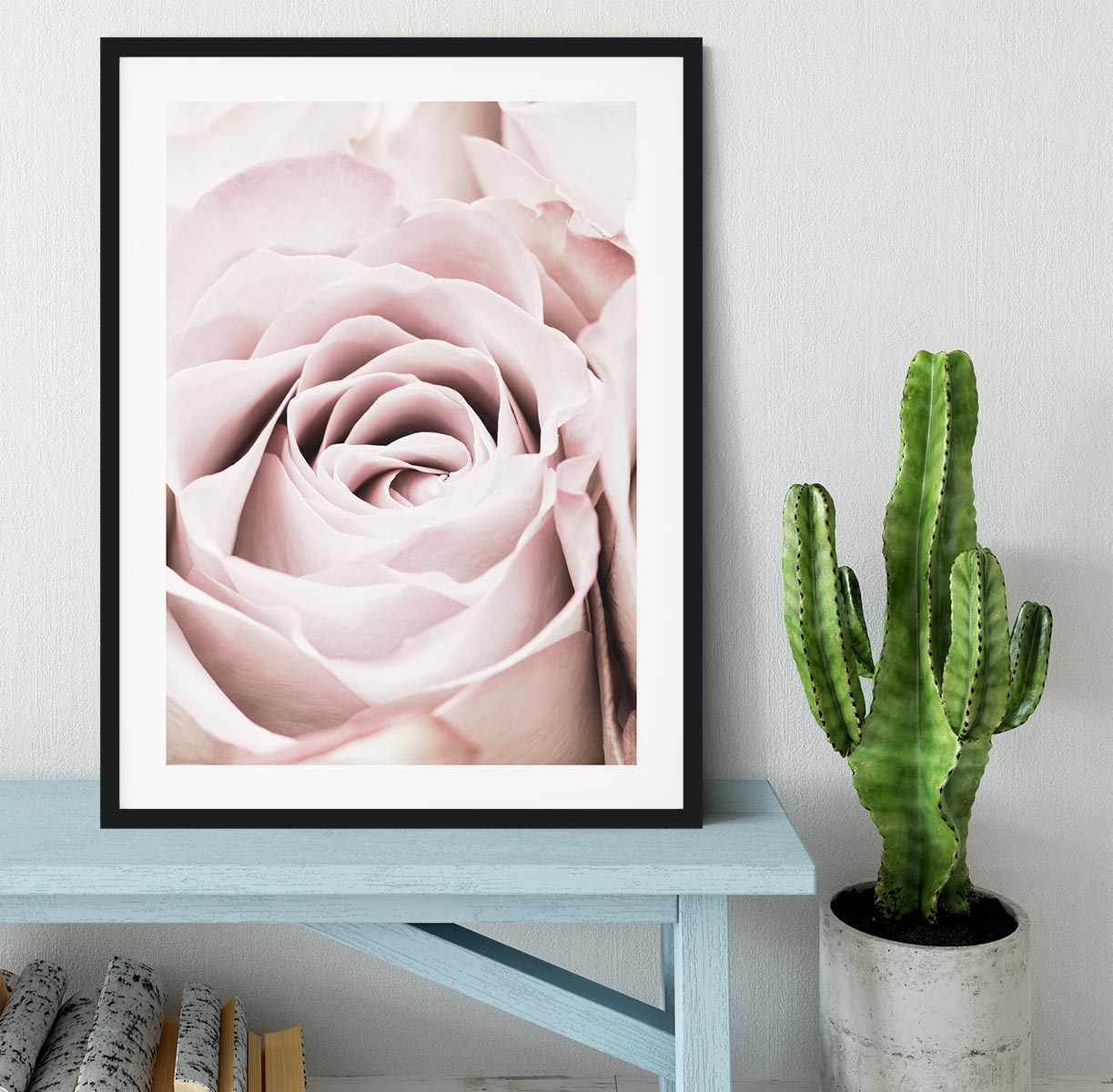 Pink Rose No 06 Framed Print - Canvas Art Rocks - 1