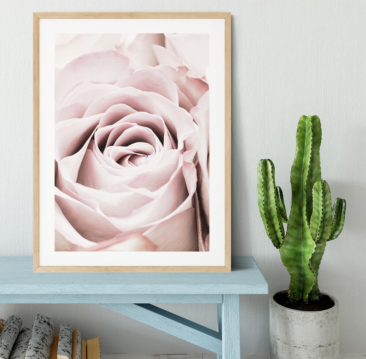 Pink Rose No 06 Framed Print - Canvas Art Rocks - 3