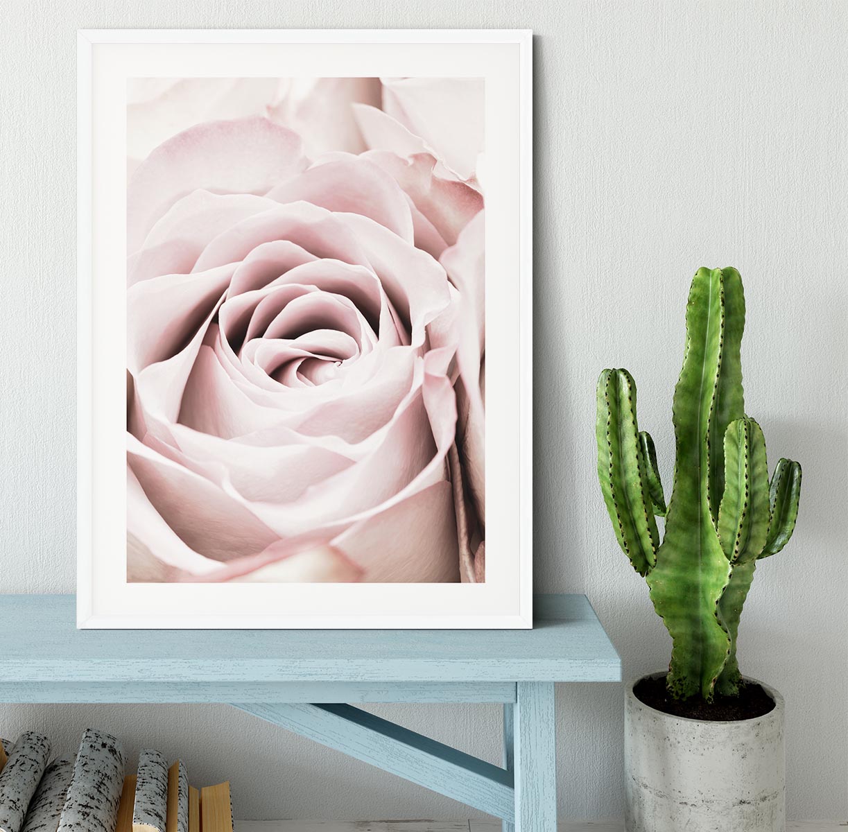 Pink Rose No 06 Framed Print - Canvas Art Rocks - 5