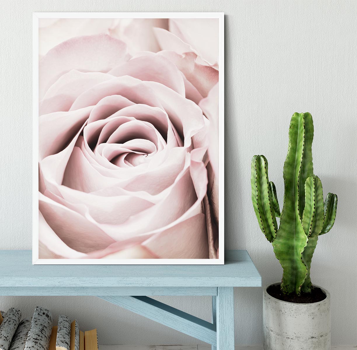 Pink Rose No 06 Framed Print - Canvas Art Rocks -6