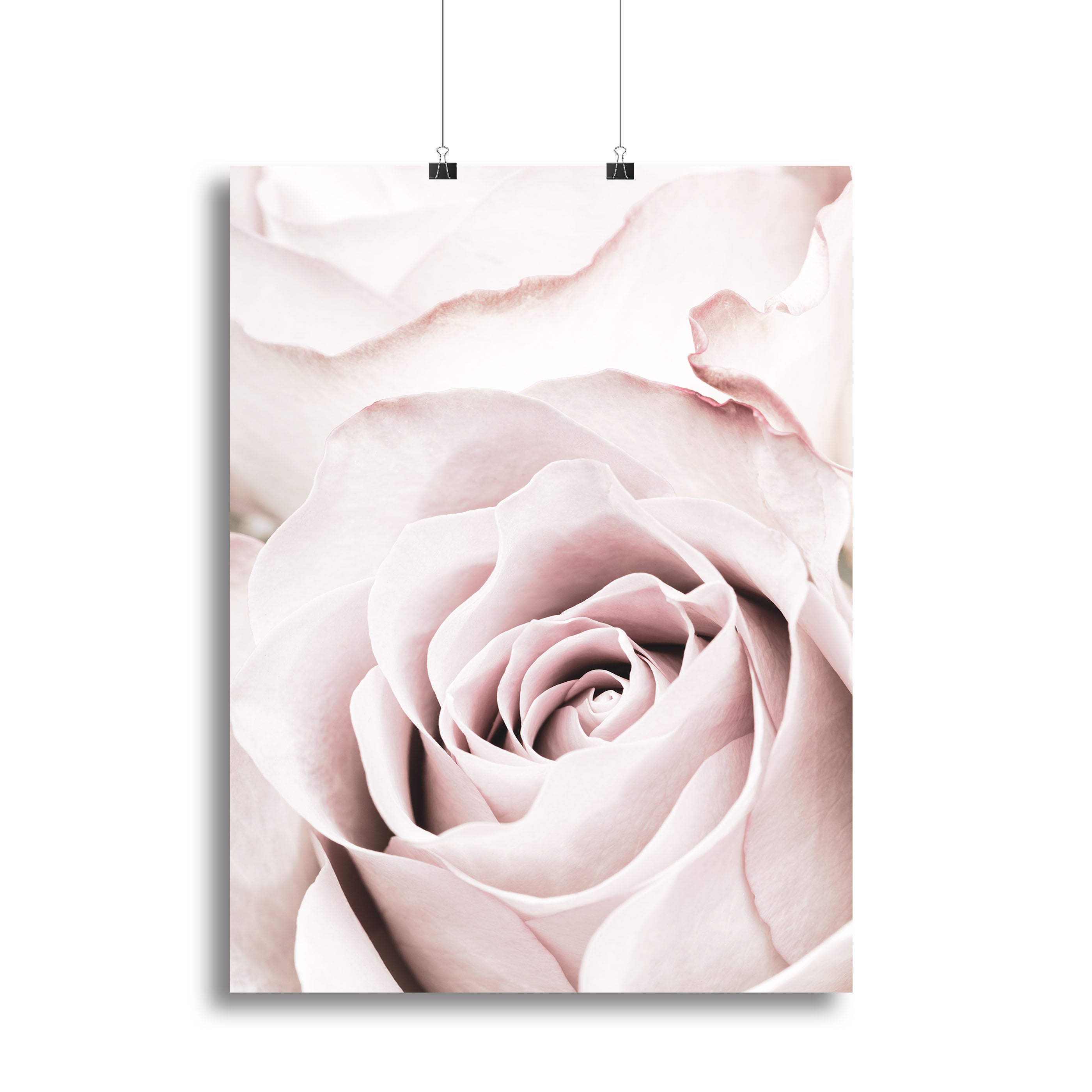 Pink Rose No 05 Canvas Print or Poster - Canvas Art Rocks - 2
