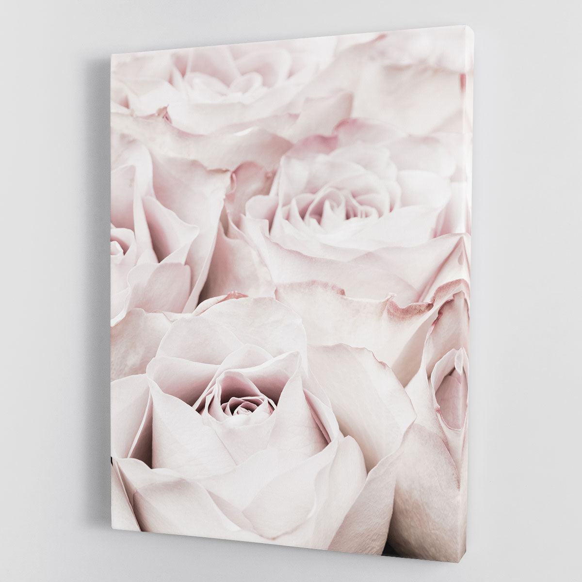 Pink Roses No 04 Canvas Print or Poster - Canvas Art Rocks - 1