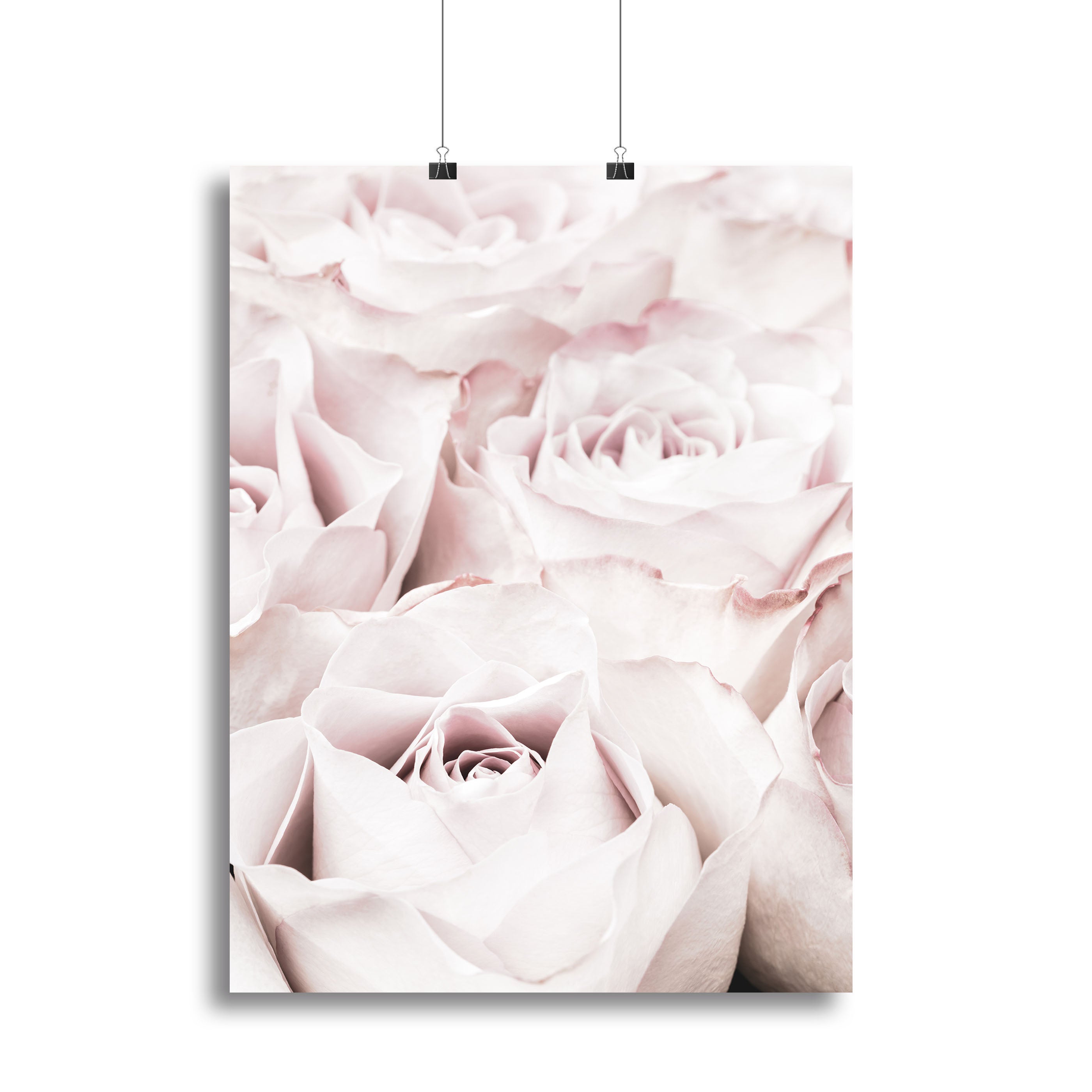 Pink Roses No 04 Canvas Print or Poster - Canvas Art Rocks - 2