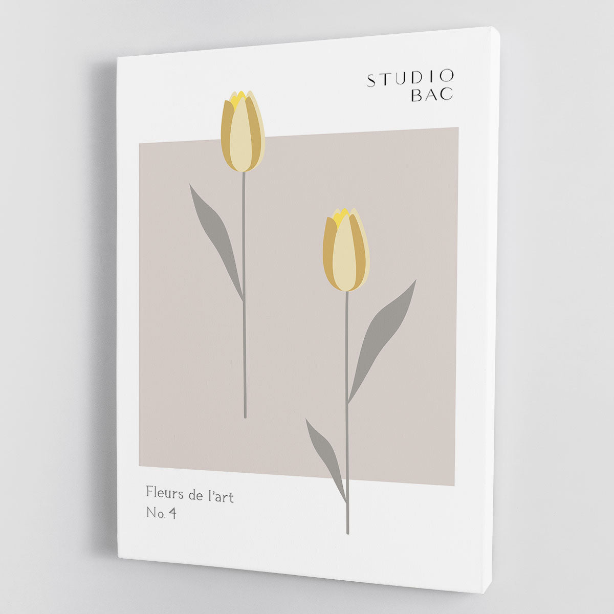 Tulips Studio Bac Canvas Print or Poster - Canvas Art Rocks - 1