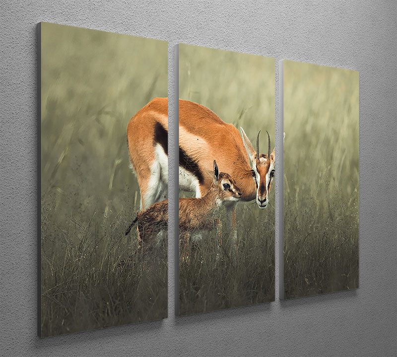 Gazelles Grazing 3 Split Panel Canvas Print - Canvas Art Rocks - 2