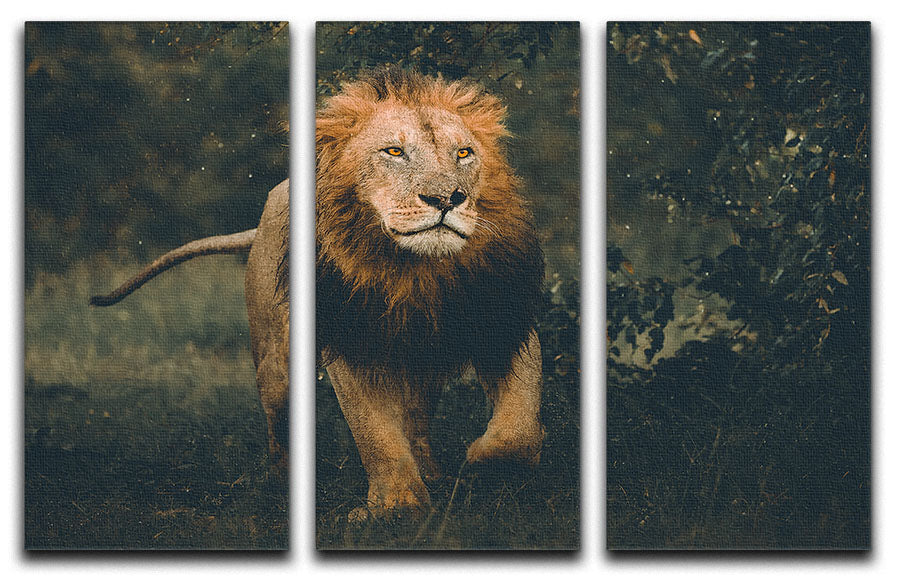 Lion Running In The Woods 3 Split Panel Canvas Print - Canvas Art Rocks - 1