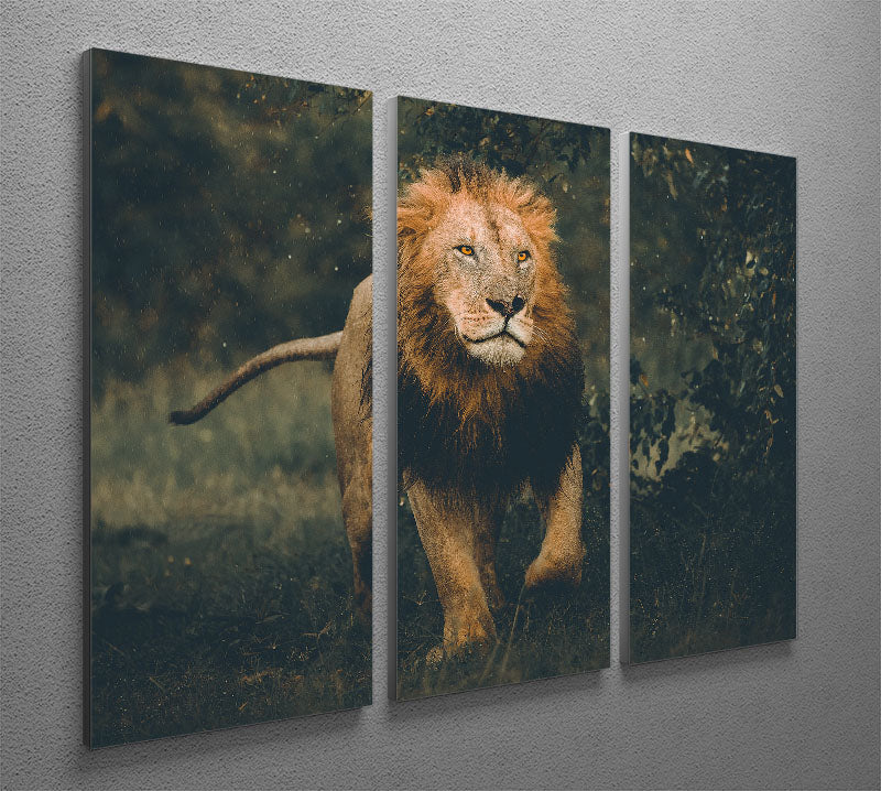 Lion Running In The Woods 3 Split Panel Canvas Print - Canvas Art Rocks - 2