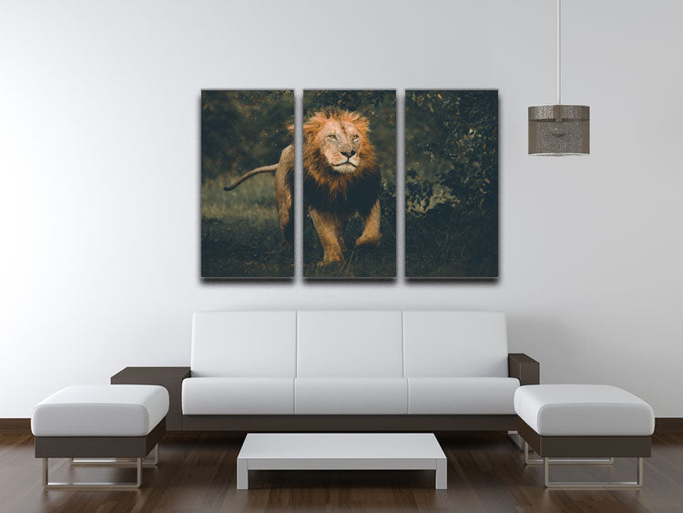 Lion Running In The Woods 3 Split Panel Canvas Print - Canvas Art Rocks - 3