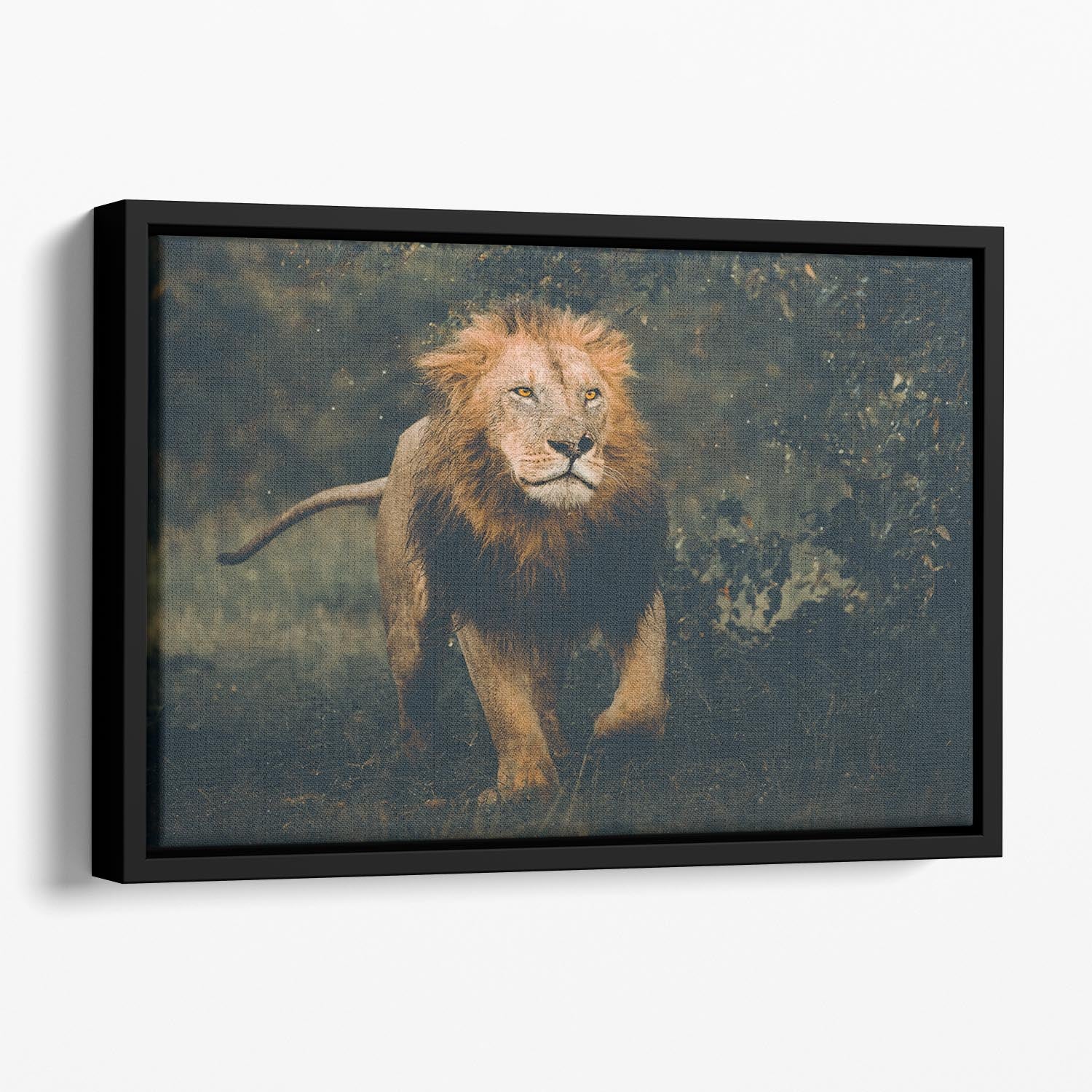 Lion Running In The Woods Floating Framed Canvas - Canvas Art Rocks - 1