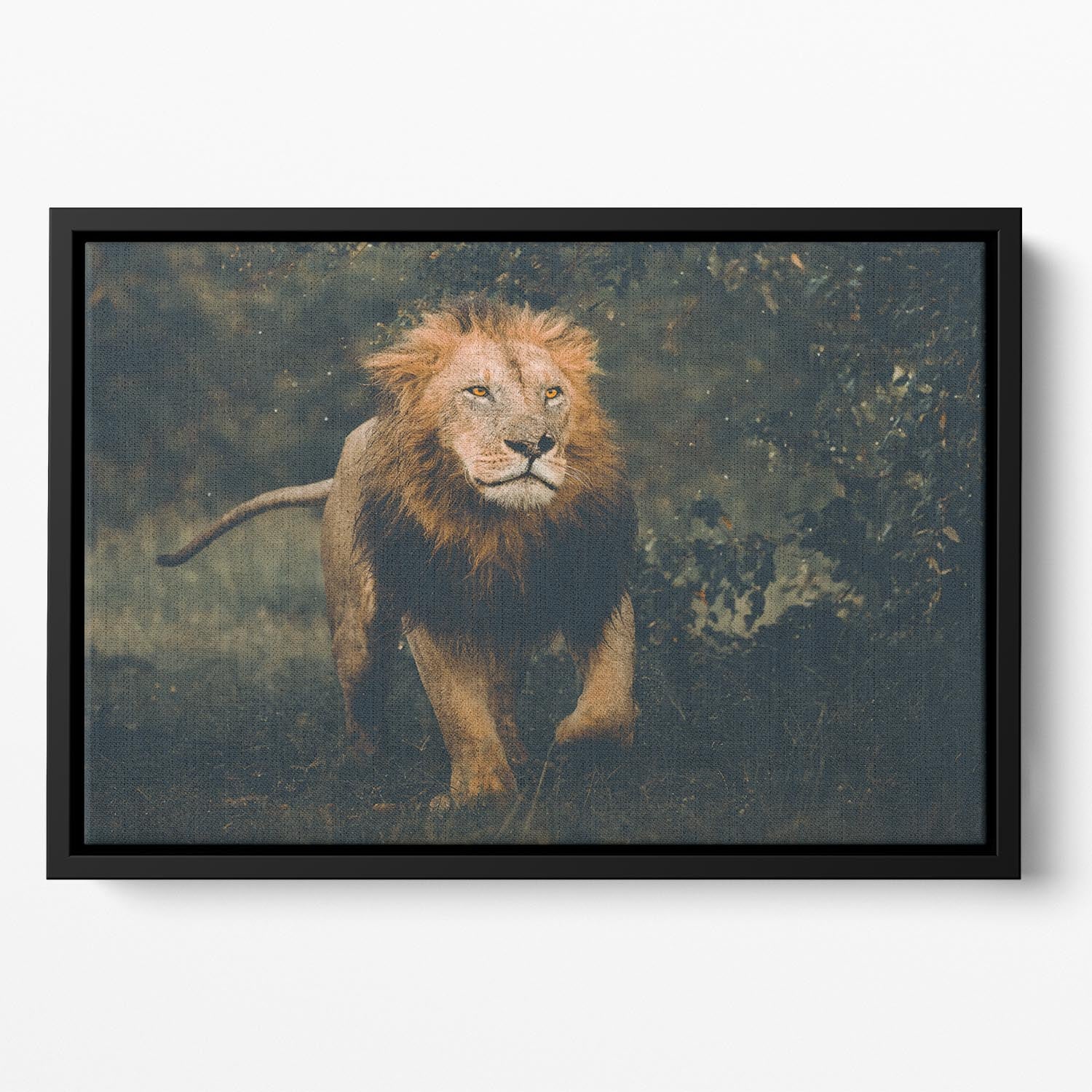 Lion Running In The Woods Floating Framed Canvas - Canvas Art Rocks - 2