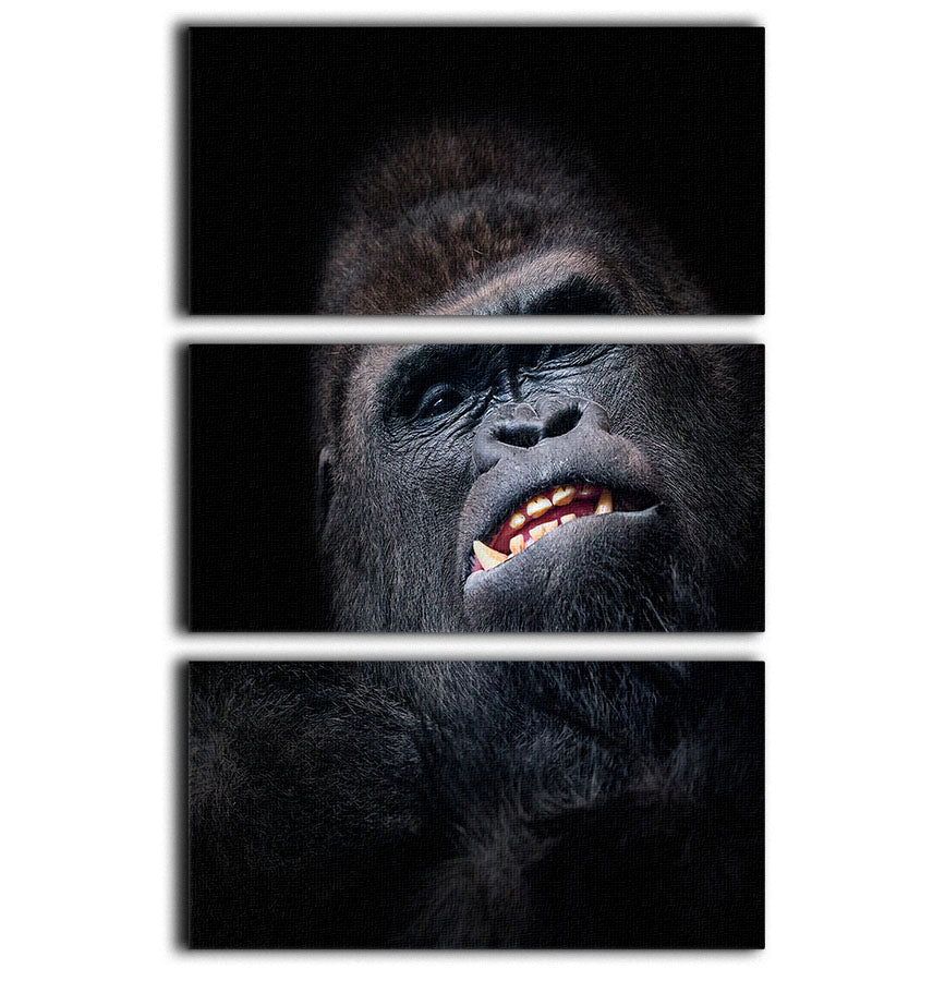 Gorilla face seen from above 3 Split Panel Canvas Print - Canvas Art Rocks - 1